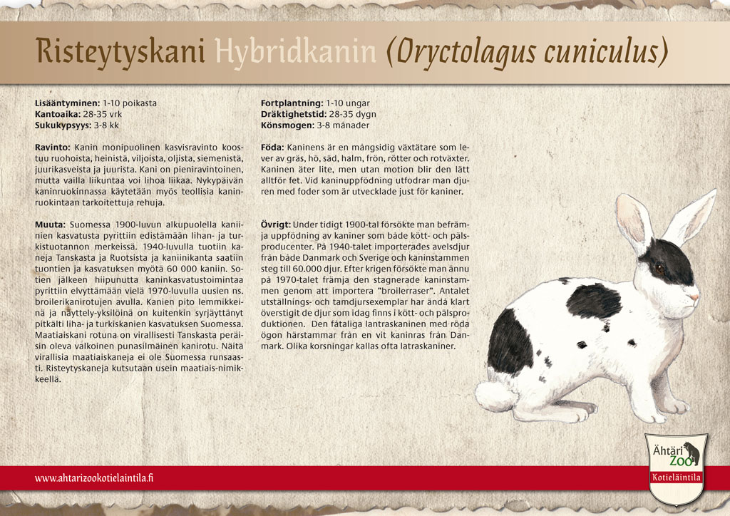 risteytyskani